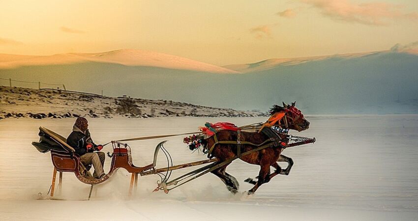 Aydın Çıkışlı Kars Sarıkamış Turu Doğu Ekspresi 