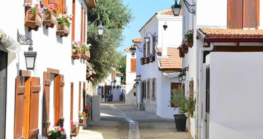 Aydın Çıkışlı Sığacık Seferihisar Mandalina Festivali Turu