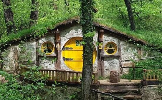 Aydın Çıkışlı Yedigöller Abant Gölcük Ormanya Turu