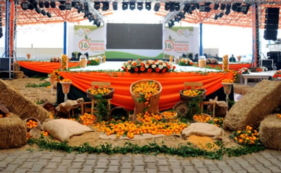 Aydın Çıkışlı Sığacık Seferihisar Mandalina Festivali Turu