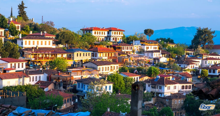 Aydın Çıkışlı Efes Şirince Meryemana Turu