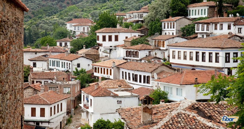 Aydın Çıkışlı Efes Şirince Meryemana Turu