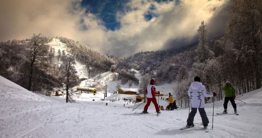 Aydın Çıkışlı Kartepe Abant Ormanya Bolu Turu