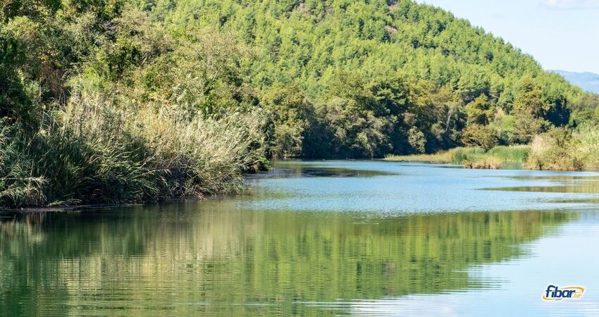 Aydın Çıkışlı Noel Pazarı Köyceğiz Akyaka Turu