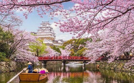 Aydın Çıkışlı Güney Kore & Japonya Turu