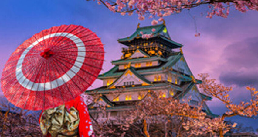 Aydın Çıkışlı Güney Kore & Japonya Turu