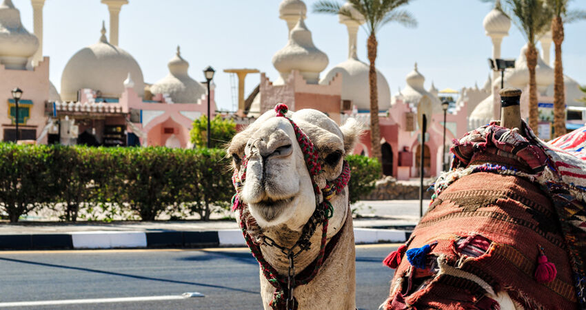 Aydın Çıkışlı Sharm El Sheikh Turu