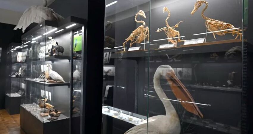 Aydın Çıkışlı Edirne Deluxe Turu