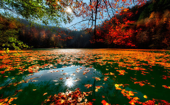 Aydın Çıkışlı Bayram Batı Karadeniz Abant Ormanya Safranbolu Yedigöller Amasra Turu