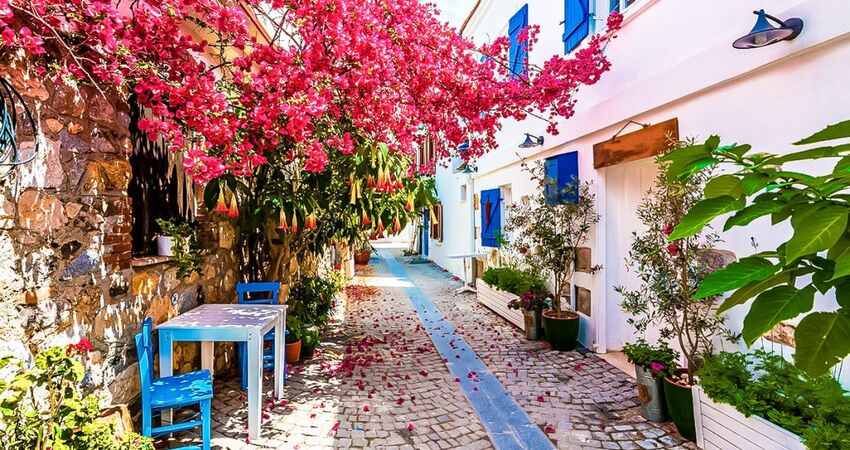 Aydın Çıkışlı Sığacık Çeşme Alaçatı Turu