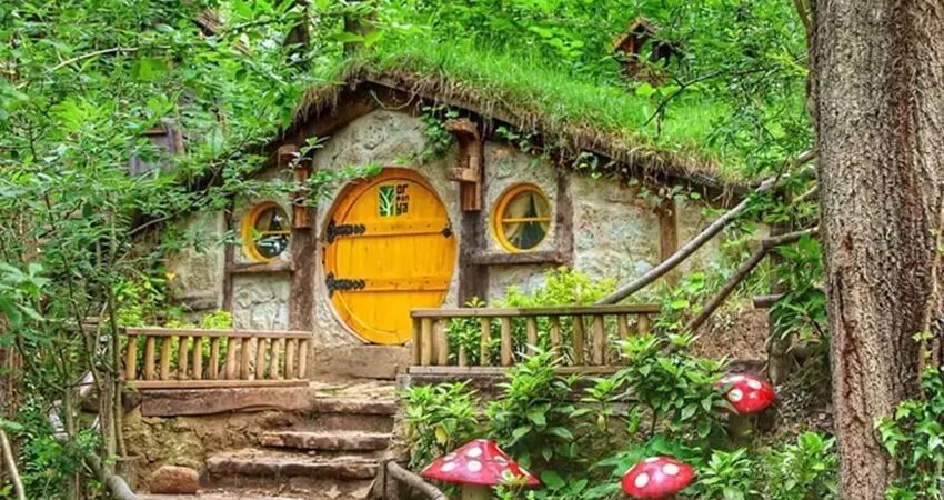 Aydın Çıkışlı Bayram Batı Karadeniz Abant Ormanya Safranbolu Yedigöller Amasra Turu