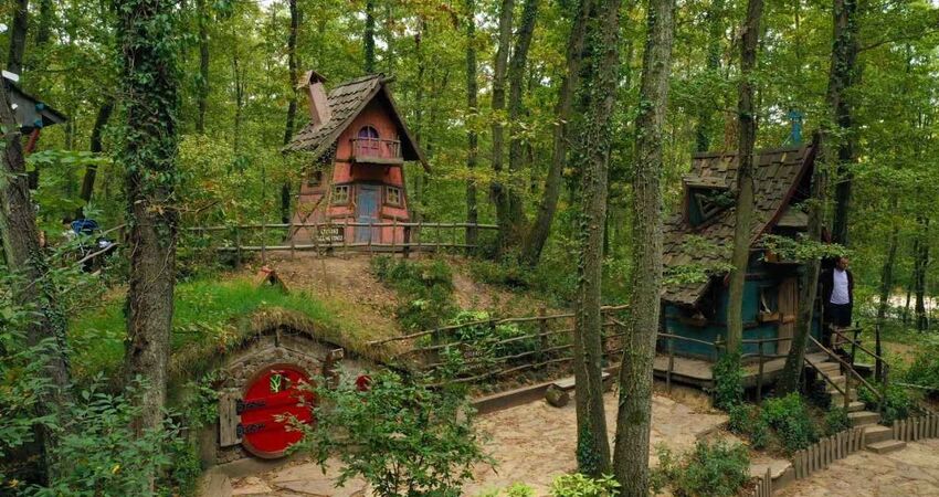 Aydın Çıkışlı Bayram Batı Karadeniz Abant Ormanya Safranbolu Yedigöller Amasra Turu