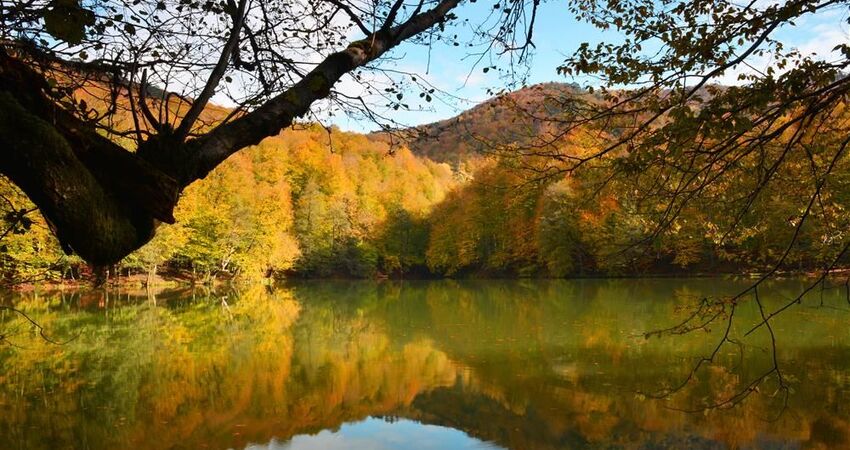 Aydın Çıkışlı Bayram Batı Karadeniz Abant Ormanya Safranbolu Yedigöller Amasra Turu