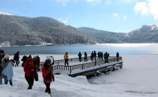 Aydın Çıkışlı Kartepe Abant Ormanya Bolu Turu